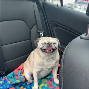 Meet your Posher, Hannah